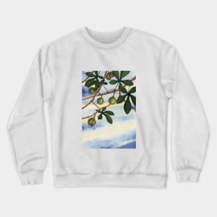 CHESTNUT TREE TREES CHESTNUTS LEAVES AUTUMN FALL Crewneck Sweatshirt